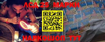 скорость Новозыбков