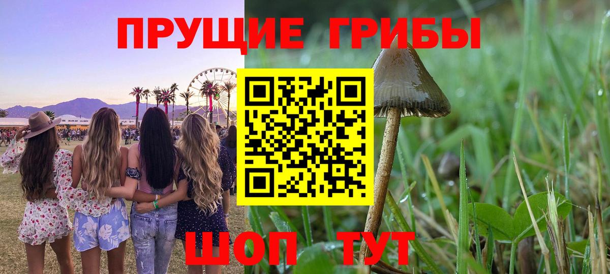 Псилоцибиновые грибы Cubensis  Вход с VPN  Сыктывкар  закладка  Галлюциногенные грибы Magic Shrooms 