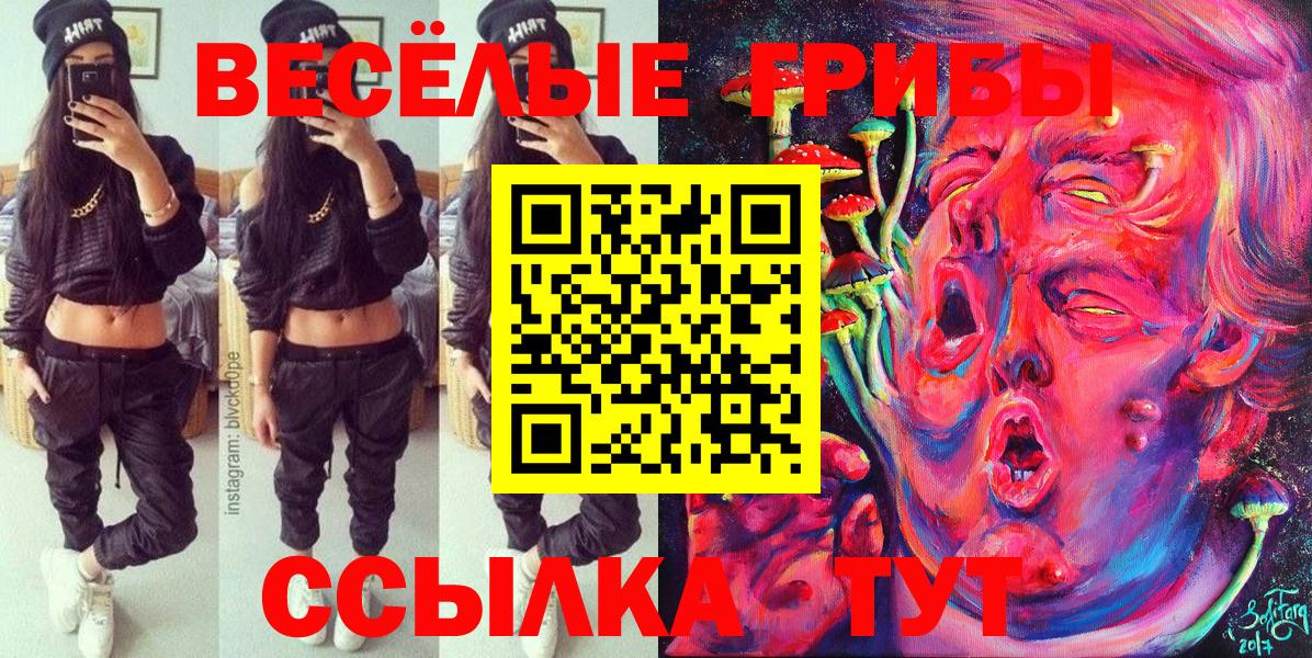 Псилоцибиновые грибы прущие грибы Сыктывкар